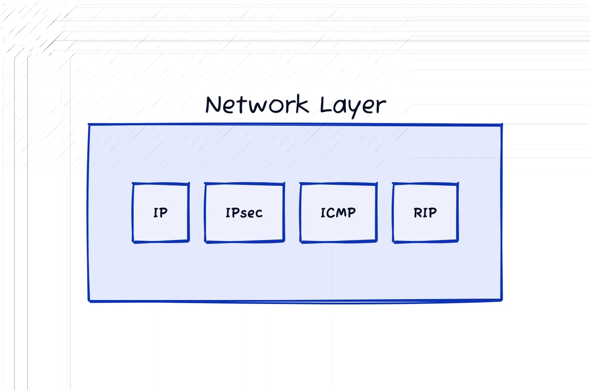 Network layer diagram containing IP, IPsec, ICMP, and RIP as example protocols.